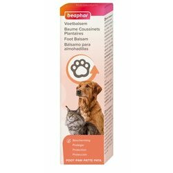 Lingettes nettoyantes x30 chien et chat Beaphar - Animal