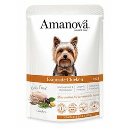 Pâtée naturelle pour chien au poulet 12 x 100 g Amanova