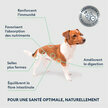 Croquettes Chien Adulte Petite Taille saumon frais 1.5 kg Marly et Dan