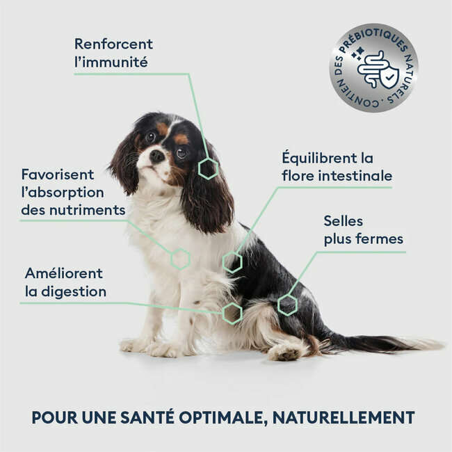 Croquettes Chien Senior petite Taille saumon frais 1.5 kg Marly et Dan