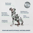 Croquettes Chien Adulte Moyenne Taille saumon frais 4 kg Marly et Dan
