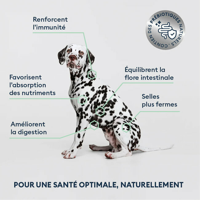 Croquettes Chien Adulte Moyenne Taille saumon frais 4 kg Marly et Dan
