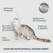 Croquettes Chat Adulte Stérilisé saumon frais 400 g Marly et Dan
