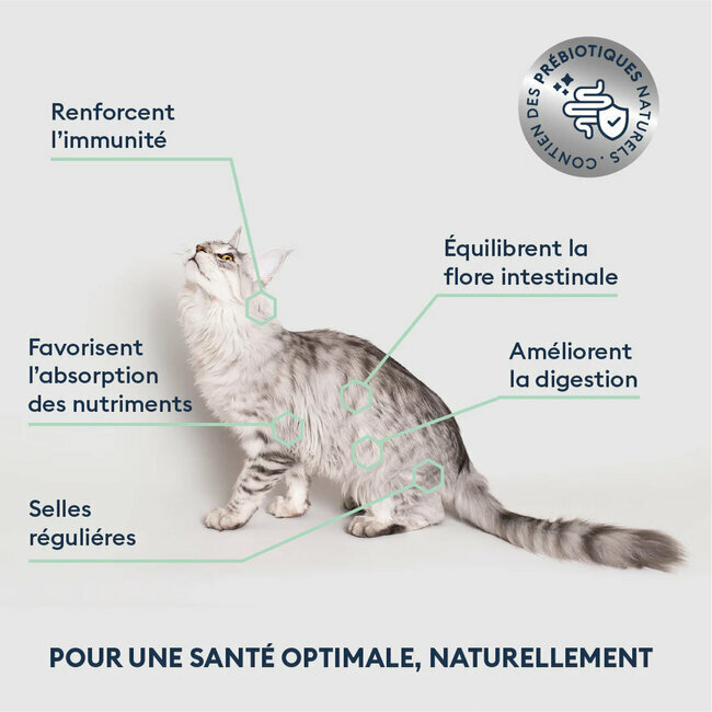 Croquettes Chat Adulte Stérilisé saumon frais 400 g Marly et Dan