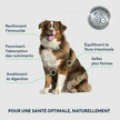 Croquettes Chien Senior Moyenne Grande Taille saumon frais 3 kg - Marly et Dan