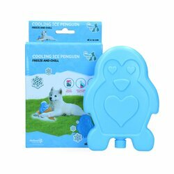 Bloc de glace rafraîchissant chien ou rongeurs Cool Pets Cooling Ice