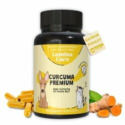 Curcuma Premium avec pipérine Chien et Chat 60 gélules Lamina Care Curcuma Premium avec pipérine Chien et Chat 60 gélules Lamina Care