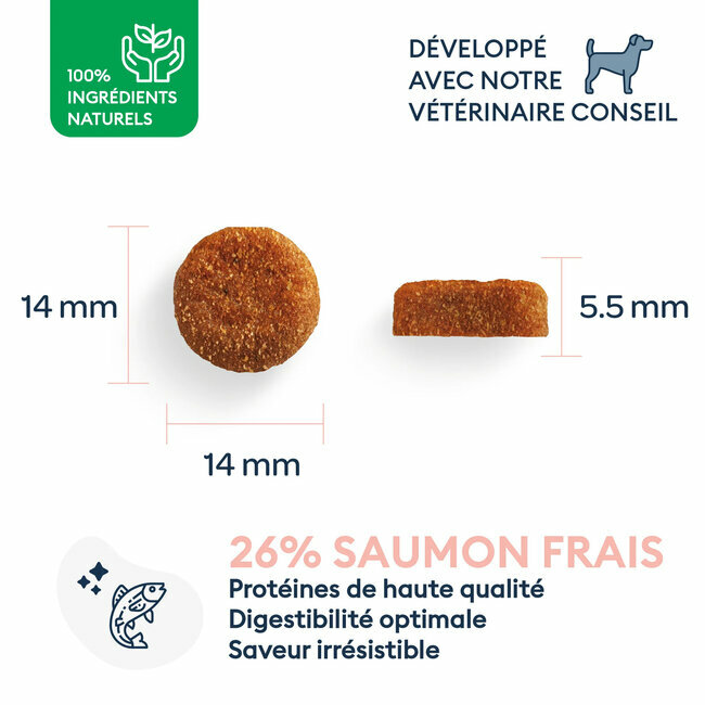 Croquettes Chien Adulte Petite Taille saumon frais 4 kg Marly et Dan