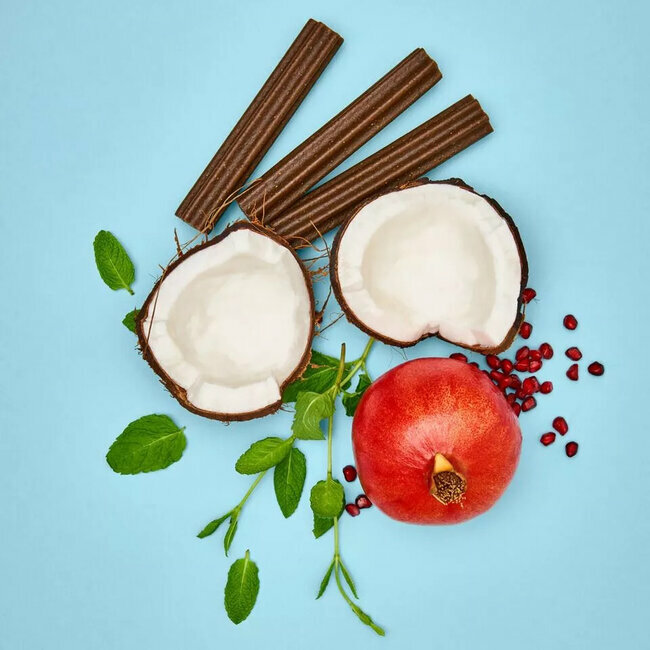 Sticks dentaires Natural Dental chien Maxi 275 g Wow