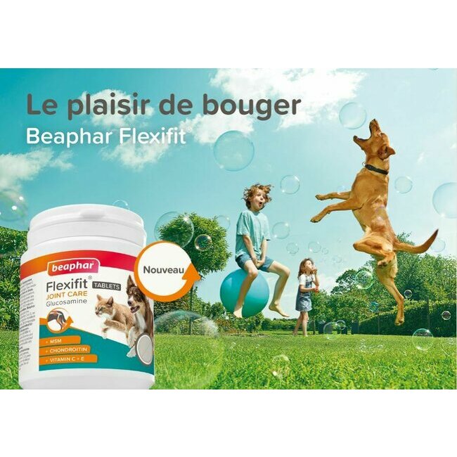 Glucosamine chien chat articulations et mobilité Flexifit 120 cps Beaphar