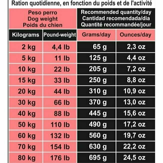 Croquettes chien Grain Free Saumon et Thon 12 kg Arquivet