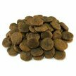 Croquettes chien Grain Free Saumon et Thon 12 kg Arquivet
