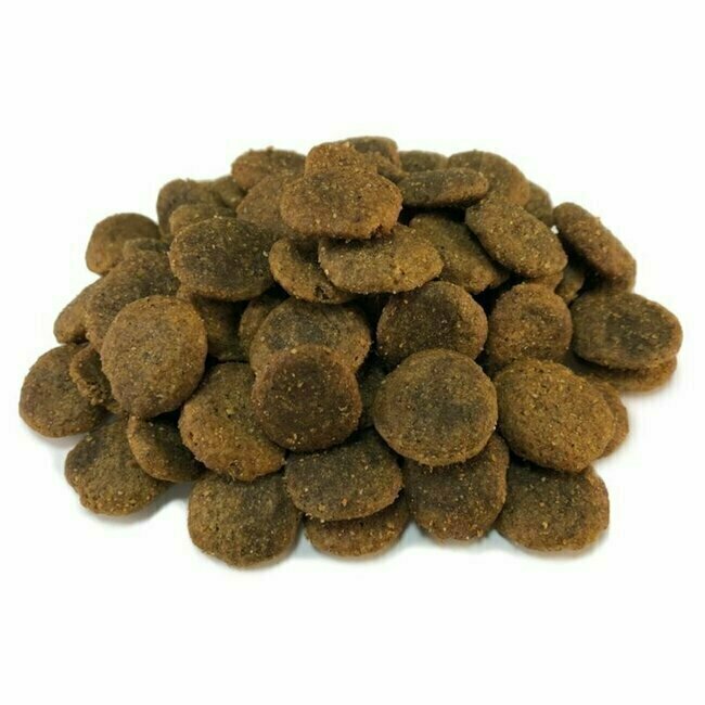Croquettes chien Grain Free Saumon et Thon 12 kg Arquivet