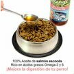Huile de saumon écossais chat et chien Oméga 3 et 6 Arquivet