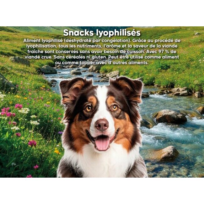 Friandises lyophilisées chien cubes dinde et poulet 50 g Arquivet
