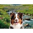 Friandises lyophilisées chien cubes saumon et poulet 50 g Arquivet