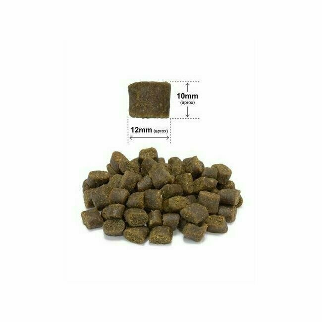Croquettes semi-humide Fresh Chiot Junior dinde saumon frais Anti Gaspi 10 kg Arquivet