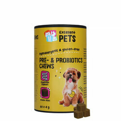 Pr&eacute;biotiques et probiotiques chien intestin digestion - Excellent Pets