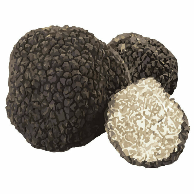 Barres de fromage suisse naturel truffes dental chien - Swiss Cowers