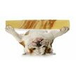 Barres de fromage suisse naturel Bacon dental chien - Swiss Cowers