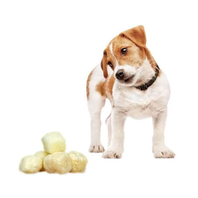 Snacks croquants au fromage suisse 100 % naturel pour chien 80 g - Swiss Cowers