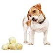 Snacks croustillants fromage suisse et huile de saumon pour chien 30 g - Swiss Cowers