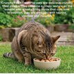 Friandises chats croustillantes fourrées au Thon 40 g Crunchy Filled Treats - Arquivet