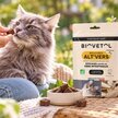 Bouchées Alt'Vers Chaton & Chat Bien-être Intestinal et Parasites X 14 - Biovetol