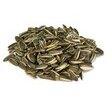 Graines de tournesol rongeurs et perroquets 500 g - Arquivet