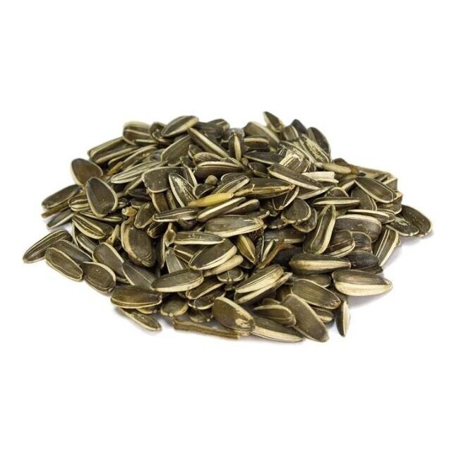 Graines de tournesol rongeurs et perroquets 500 g - Arquivet