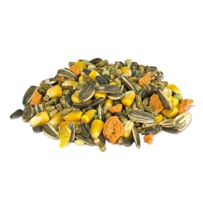 Mélange pour hamsters aliment complet 700 g - Arquivet