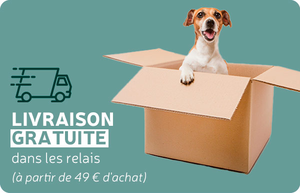 Albert le chien : produit naturel et bio pour chien et chat